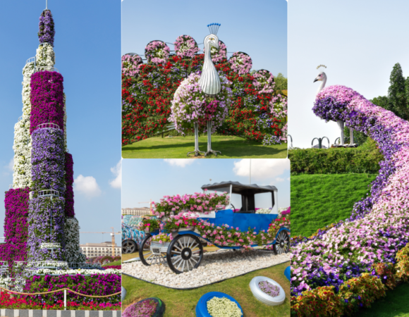 Dubai Miracle Garden Tour with Transfer